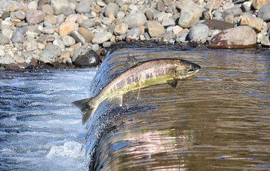 Kaiyun网页版·「中国」开云官方网站 登录入口