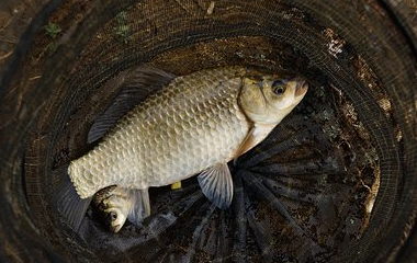 Kaiyun网页版·「中国」开云官方网站 登录入口