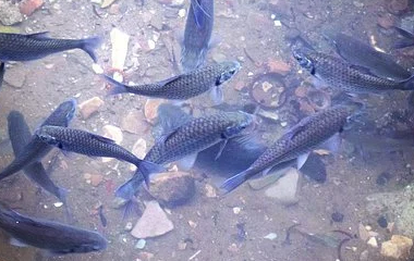 Kaiyun网页版·「中国」开云官方网站 登录入口