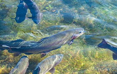 Kaiyun网页版·「中国」开云官方网站 登录入口