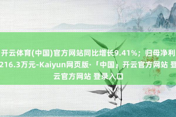 开云体育(中国)官方网站同比增长9.41%；归母净利润耗费216.3万元-Kaiyun网页版·「中国」开云官方网站 登录入口