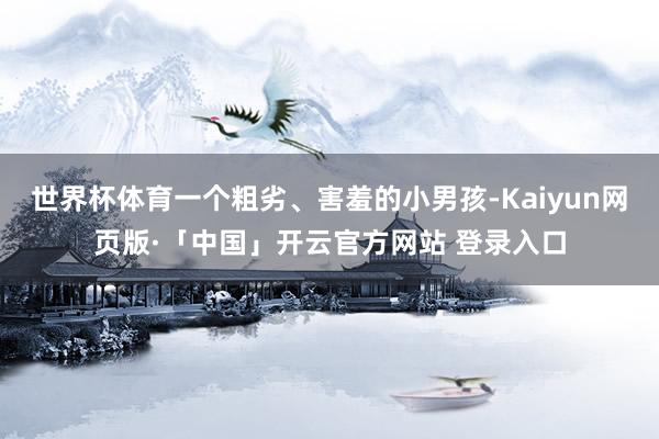 世界杯体育一个粗劣、害羞的小男孩-Kaiyun网页版·「中国」开云官方网站 登录入口